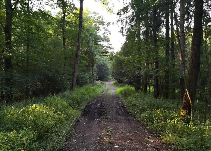 Hockertz * Habscheid